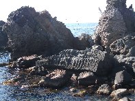 i Trezza-20110311 059